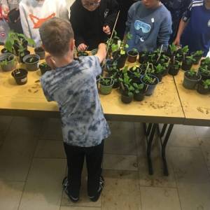 Pflanzenmarkt_23_3_original