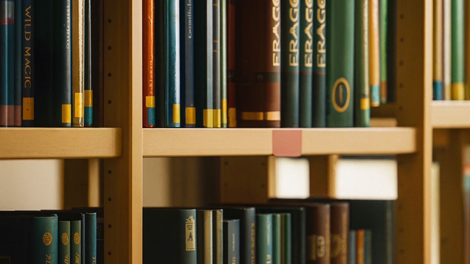 Die Schülerbücherei